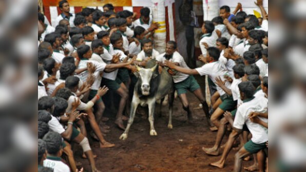 Jallikattu: Even if there is a revocation, Tamil people should ensure sport is strictly regulated