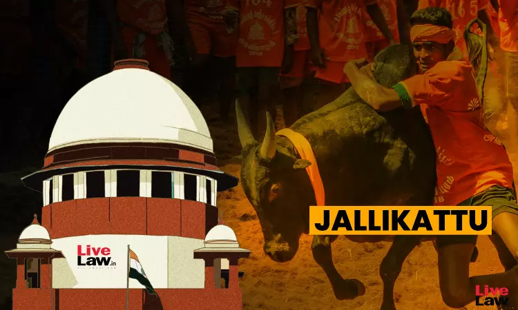 Review Sought Of SC Judgment Which Upheld Laws Allowing Jallikattu, Kambala & Bullock Cart Racing